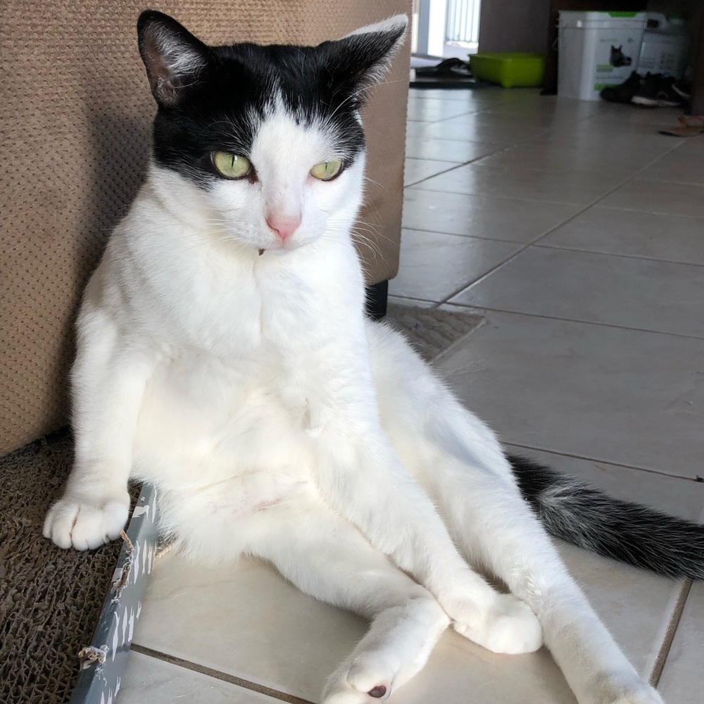 Meet your Posher, Amanda